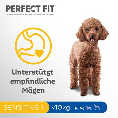 Perfect Fit Sensitive Adult Dog (<10kg) mit Truthahn