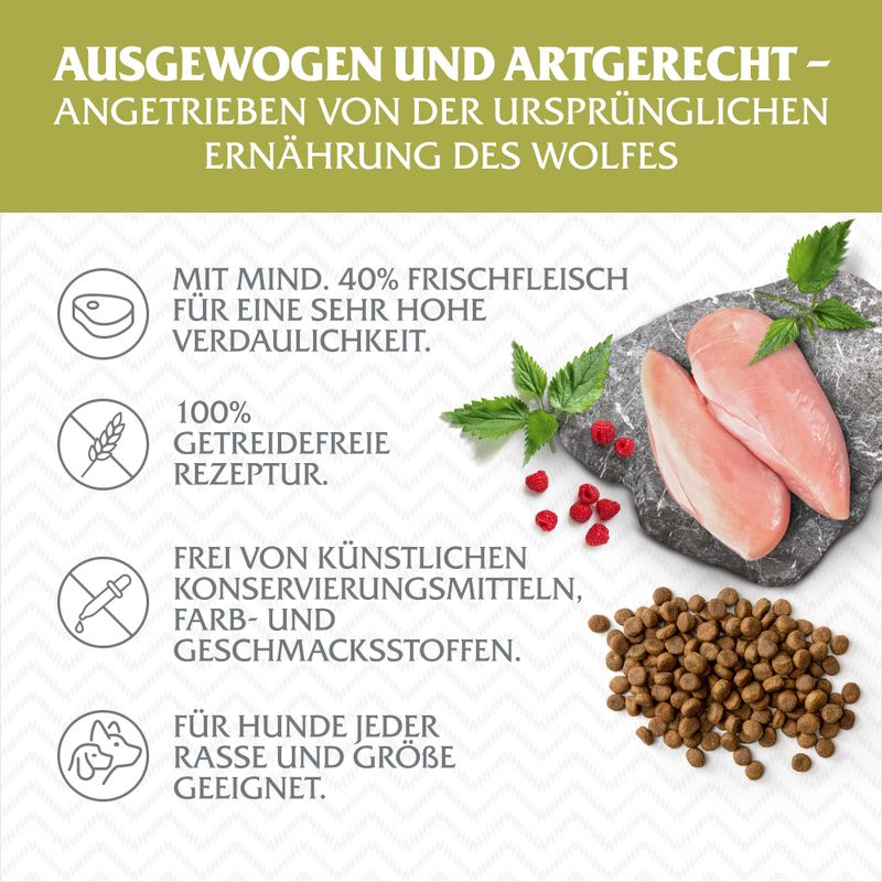 Wolf of Wilderness Adult 'Green Fields' - Lamm