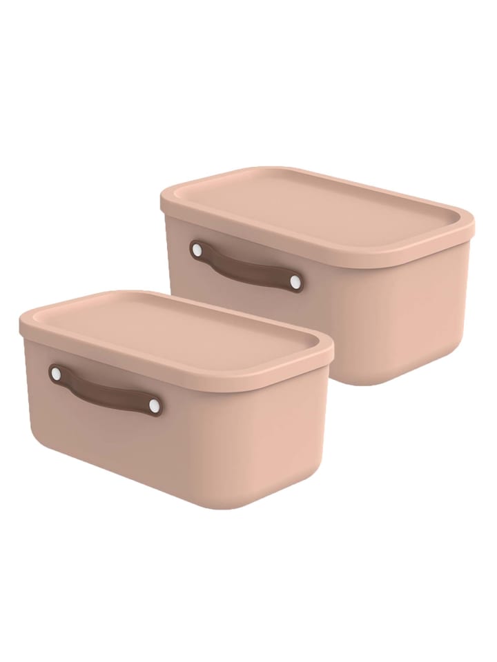 Rotho 2er-Set Kiste mit Deckel Maloja 12l in Meadow rose günstig kaufen onesize