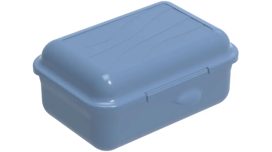 rotho Brotdose Funbox 0,4l horizon blue