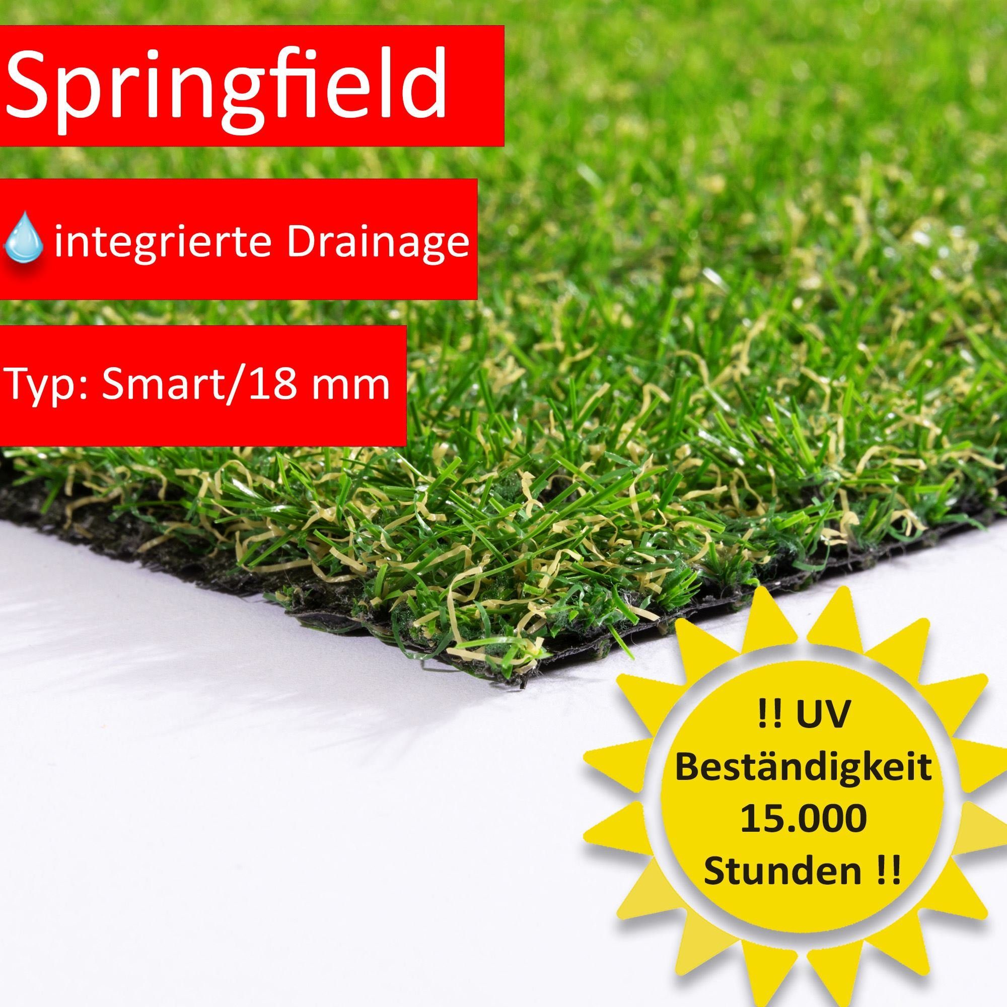 Kunstrasen Springfield, Steffensmeier, Rechteckig, Balkon, Garten, In- und Outdoor geeignet, wasserfest
