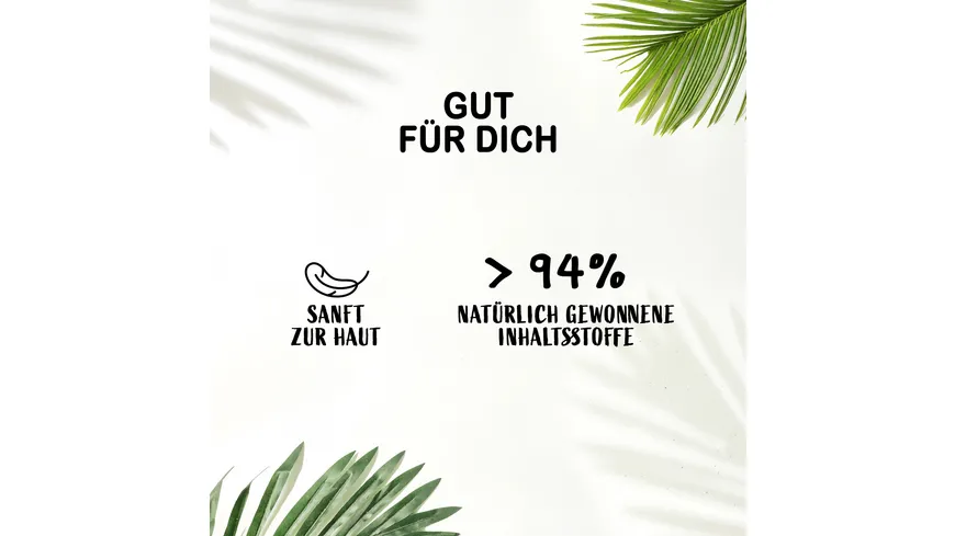 FA Pflegende Duschcreme Aloe Vera Yoghurt 250ml 250 ml