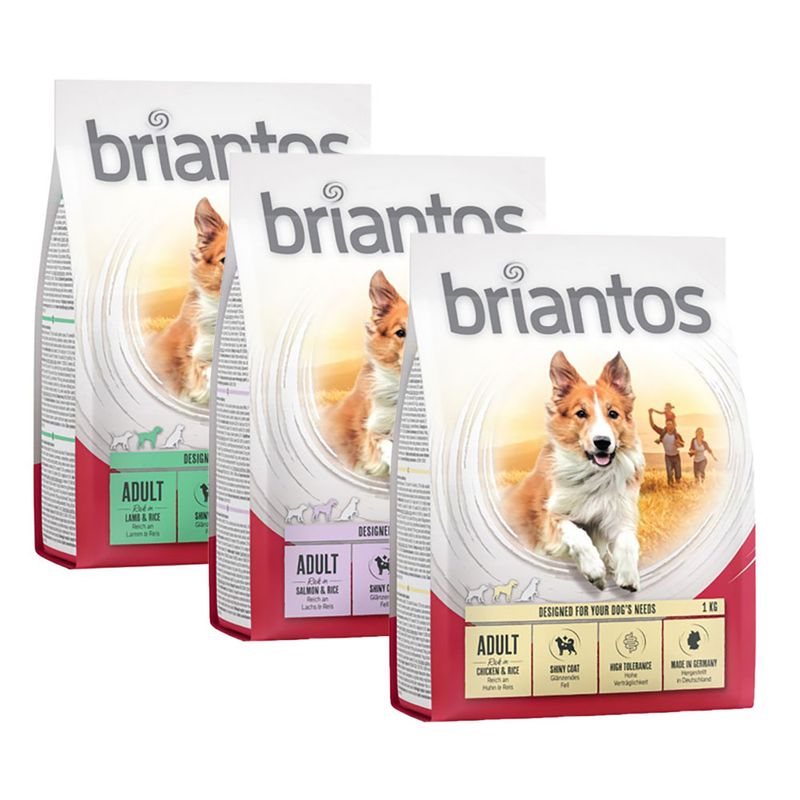 Probierpaket Briantos Adult 3 x 1 kg zu TOP-Preisen