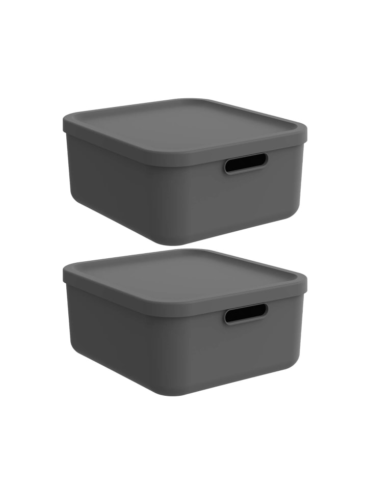Rotho Albula Light 2er-Set Aufbewahrungskiste 20l in Anthrazit günstig kaufen onesize