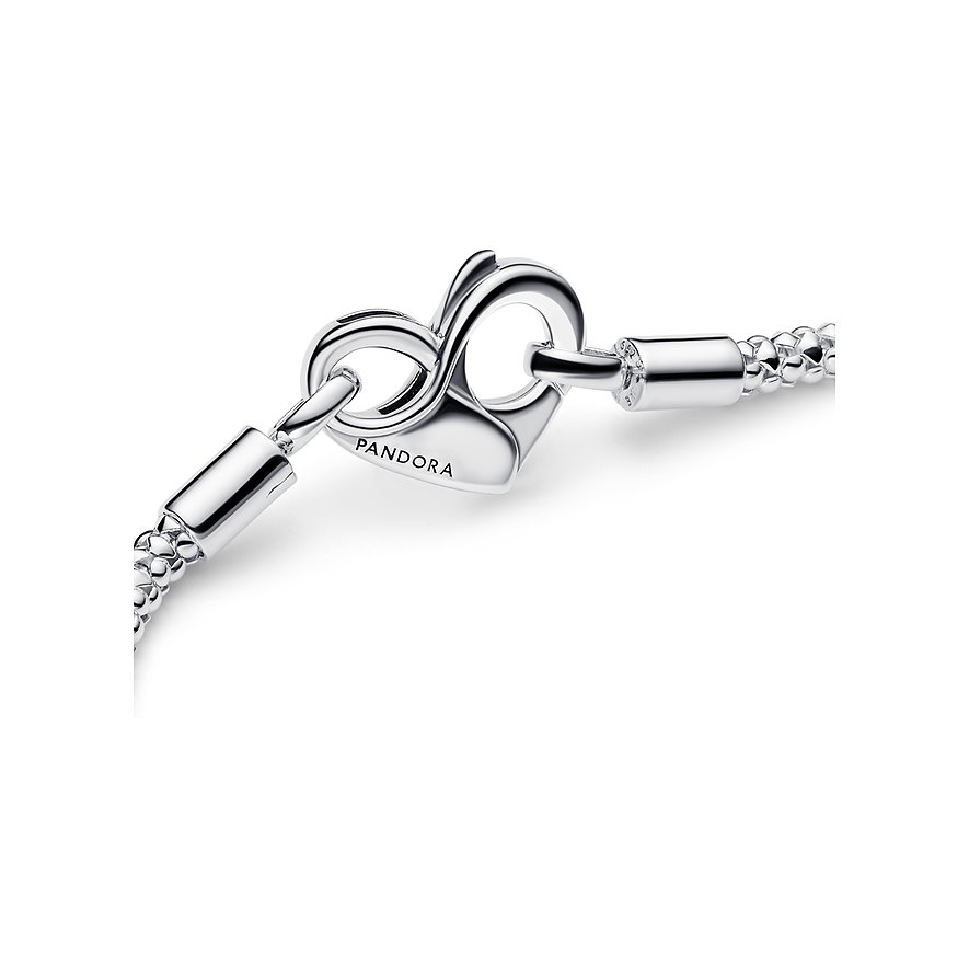 Pandora Armband Moments