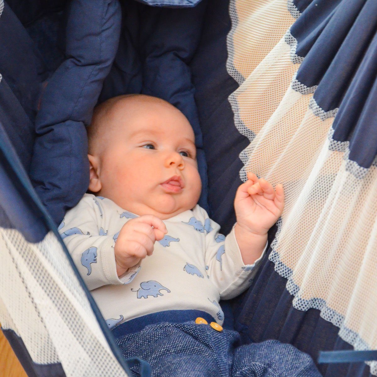 DuneDesign Babywippe Baby Hängematte 70x36x94cm Federwiege Hängewiege, Hängematte mit Feder+Matratze