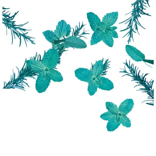 Kneipp Goodbye Stress Water Mint & Rosemary Shower Gel 200ml - Skóra normalna