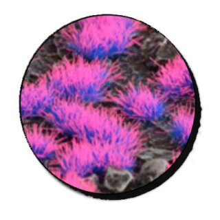 Alien Neon Tuft 4mm (Wild)