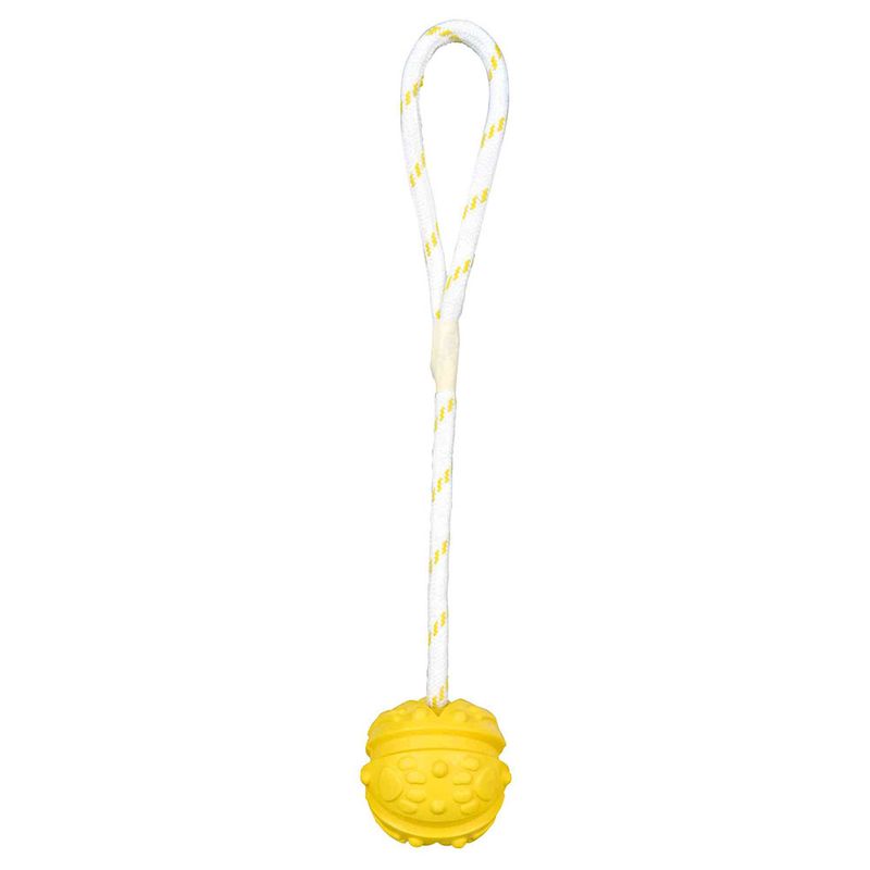 Trixie Aqua Toy Ball am Seil zu TOP-Preisen