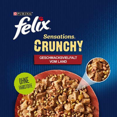 Felix 