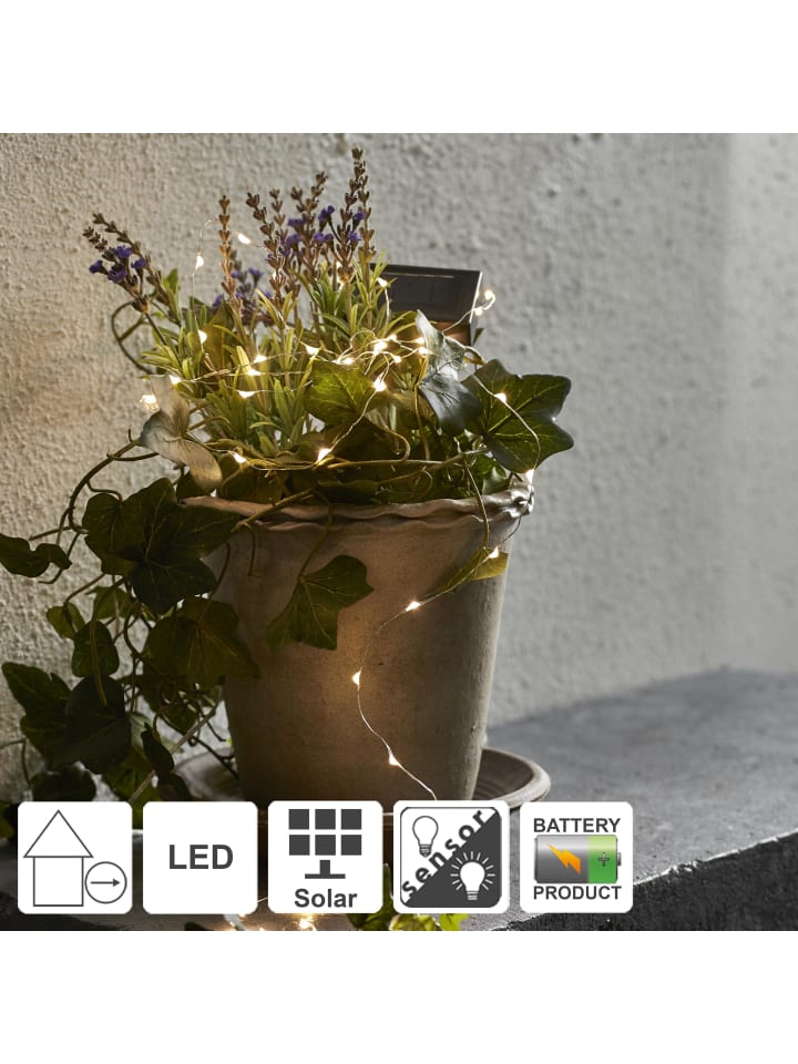 STAR Trading Solar LED-Lichterkette Dew Drop warmweiß (50 LEDs, Batterie) günstig kaufen onesize