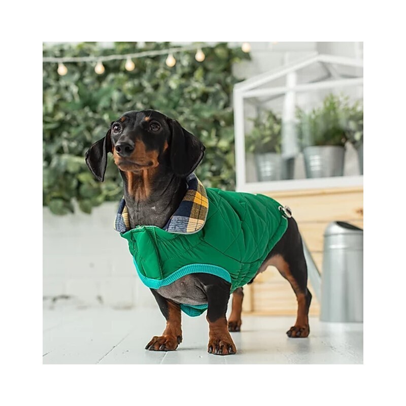 GF Pet Hundemäntel GF Pet Reversible Trail Jacke grün XS