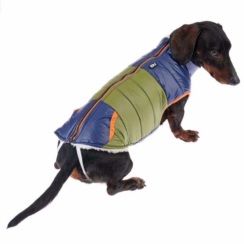 TIAKI Hundejacke Stripes zu TOP-Preisen