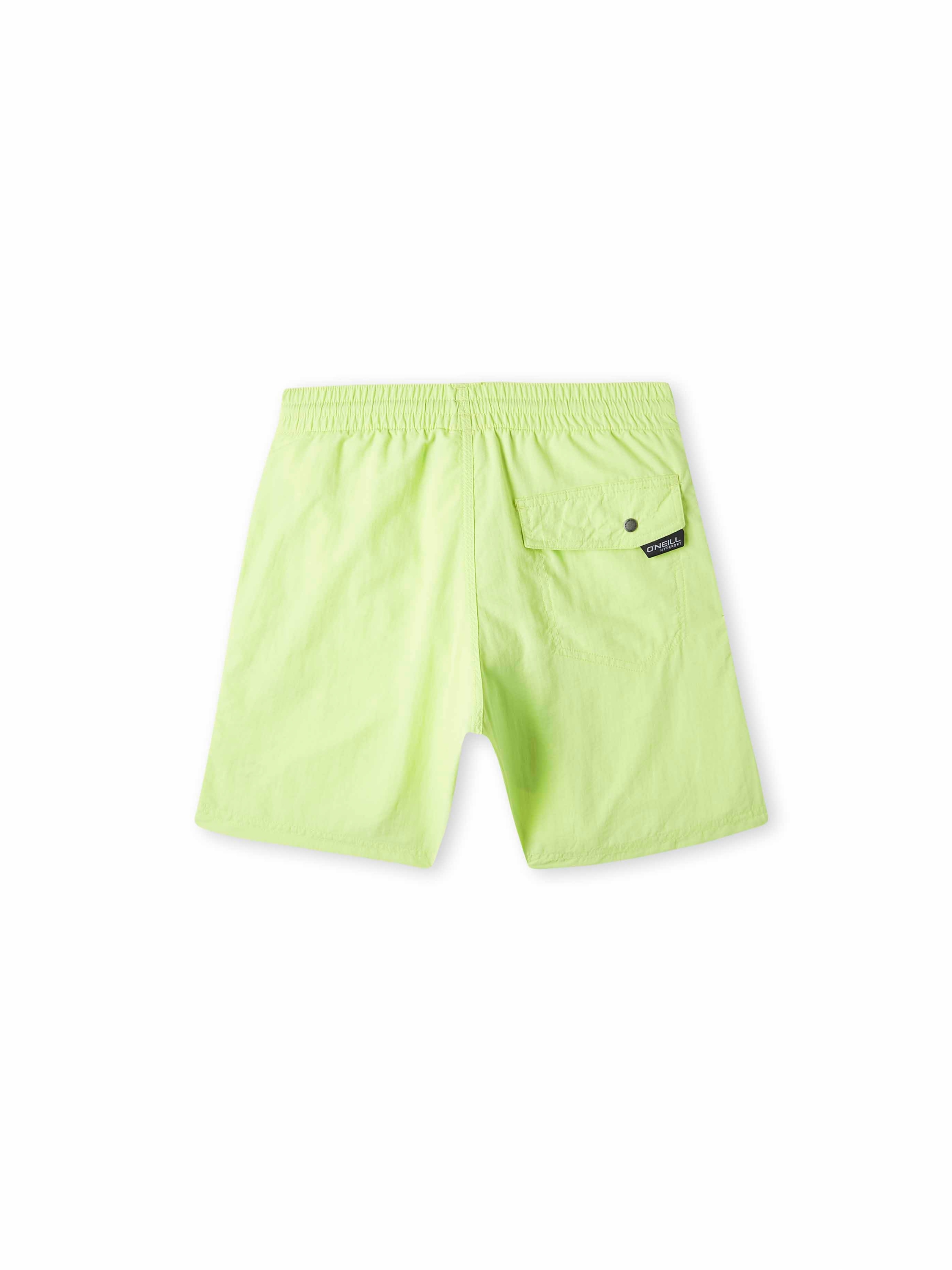 Board Shorts 'Vert'