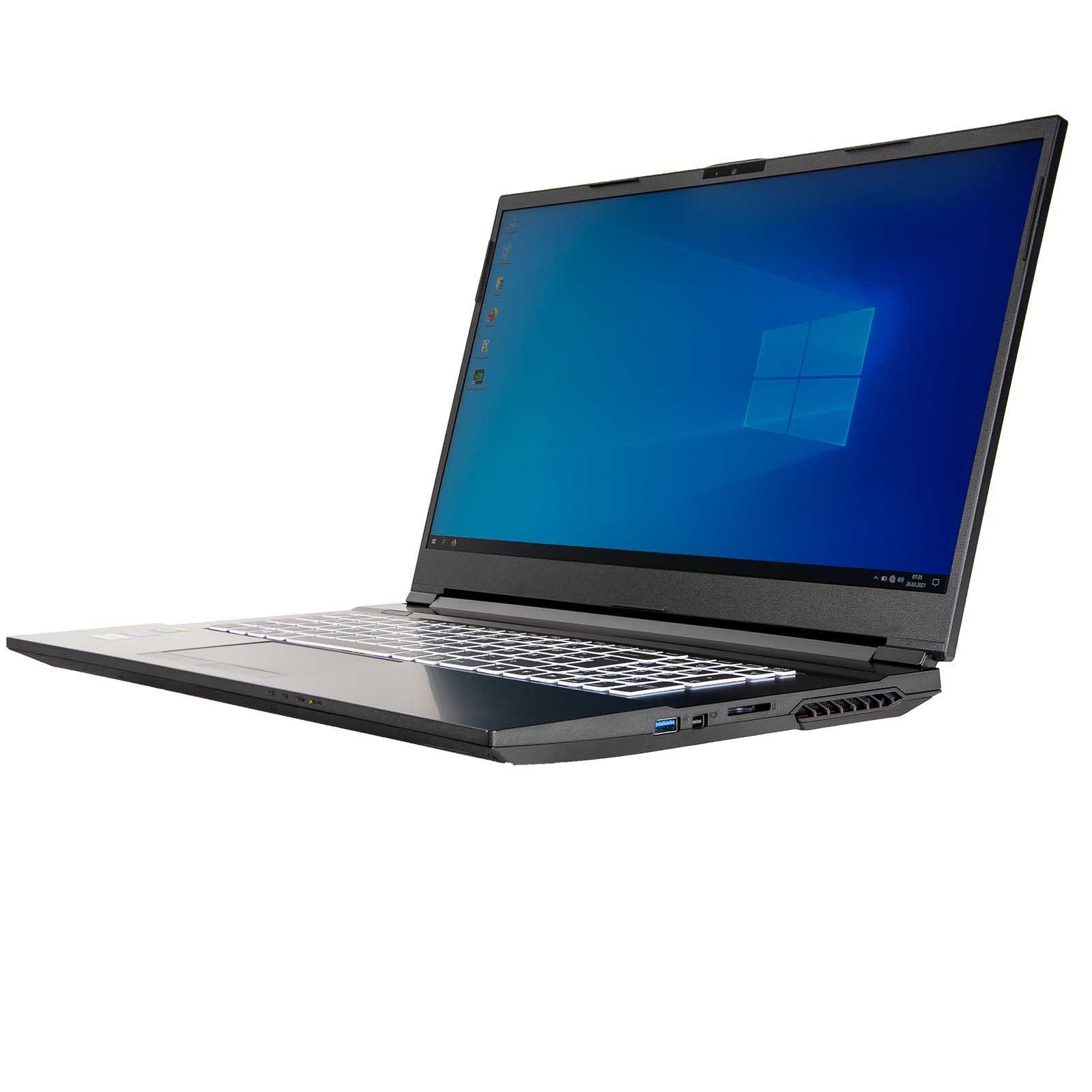 dcl24.de Gaming-Notebook (43,90 cm/17.3 Zoll, Intel Core i5 Intel Core i5-10300H, RTX 3060, 2000 GB SSD)