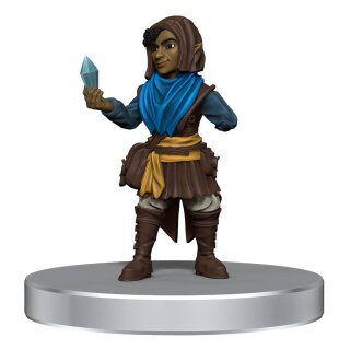 D&D Voices of the Realms Miniaturen: Band of Heroes (pre-painted)