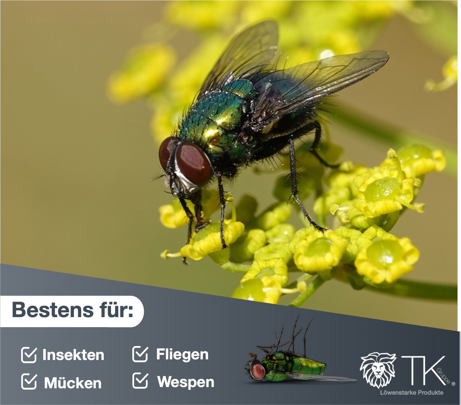 TK Gruppe Fliegenklatsche 10er Fliegenklatsche Klatsche Mückenschaber als Fliegenfänger
