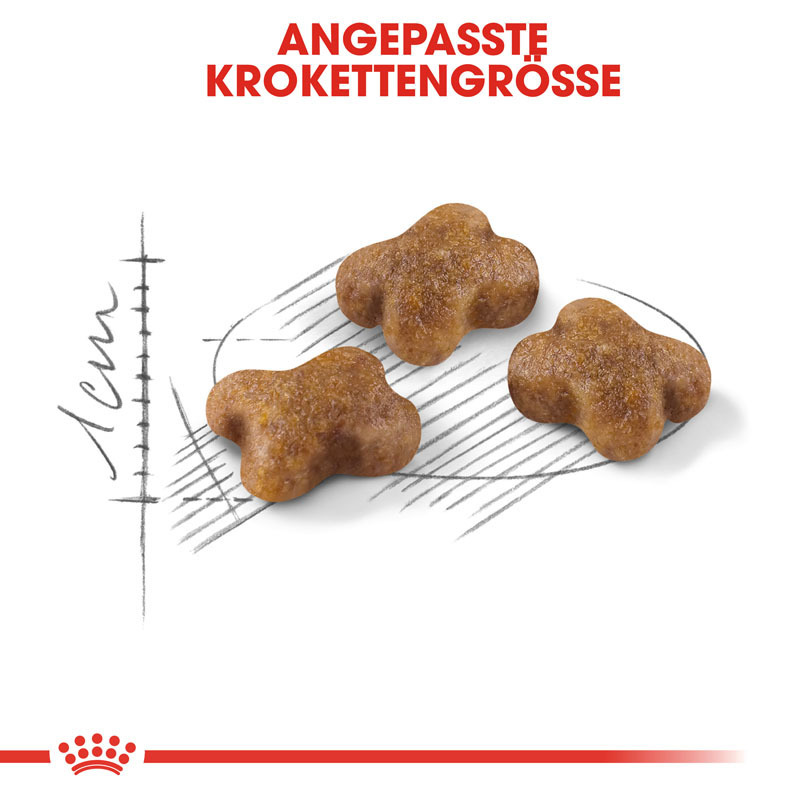 ROYAL CANIN Trockenfutter ROYAL CANIN Kitten 2x10 kg