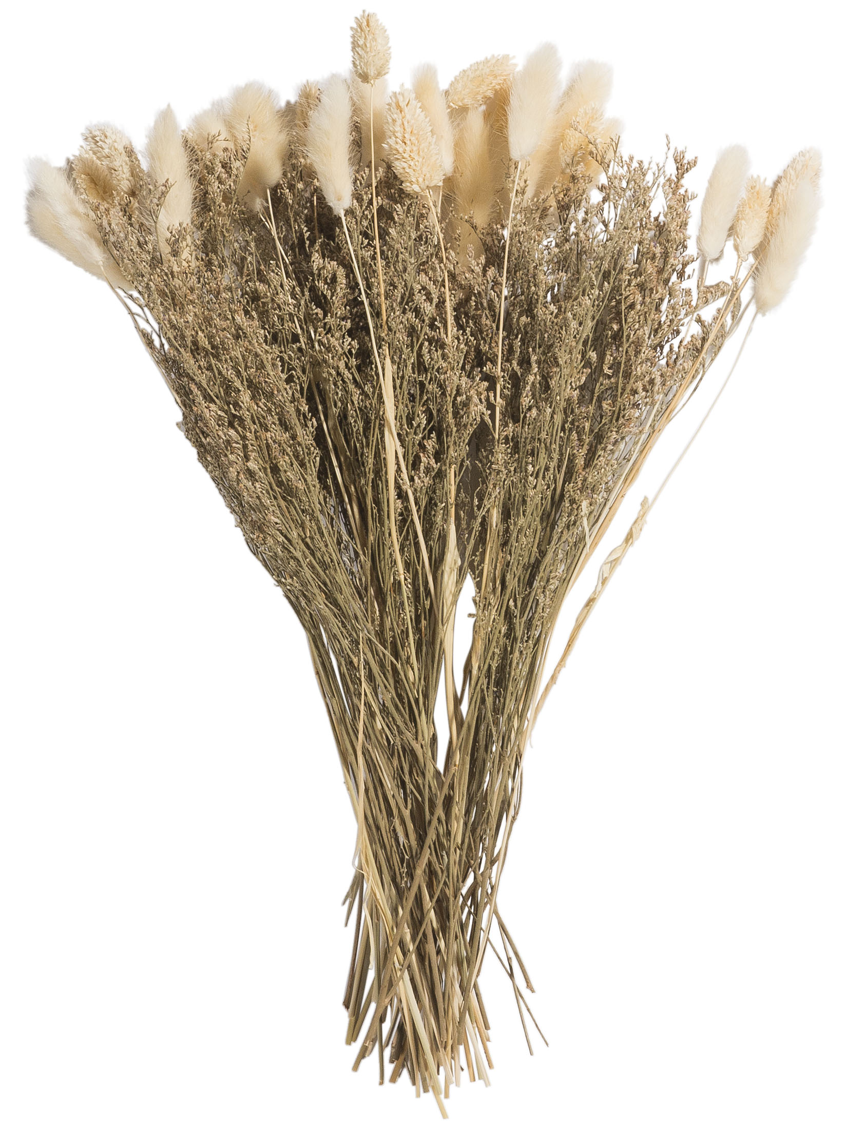 Flowerbouquet Trockenblume, Beige