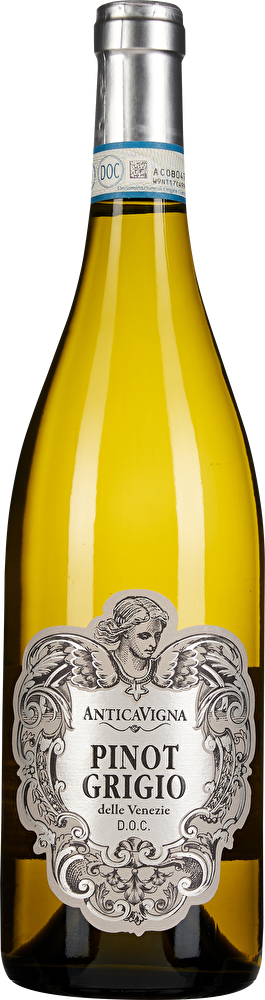 WEIN & CO Grauburgunder Probierpaket
