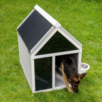 Modern Living Hundehütte Amsterdam