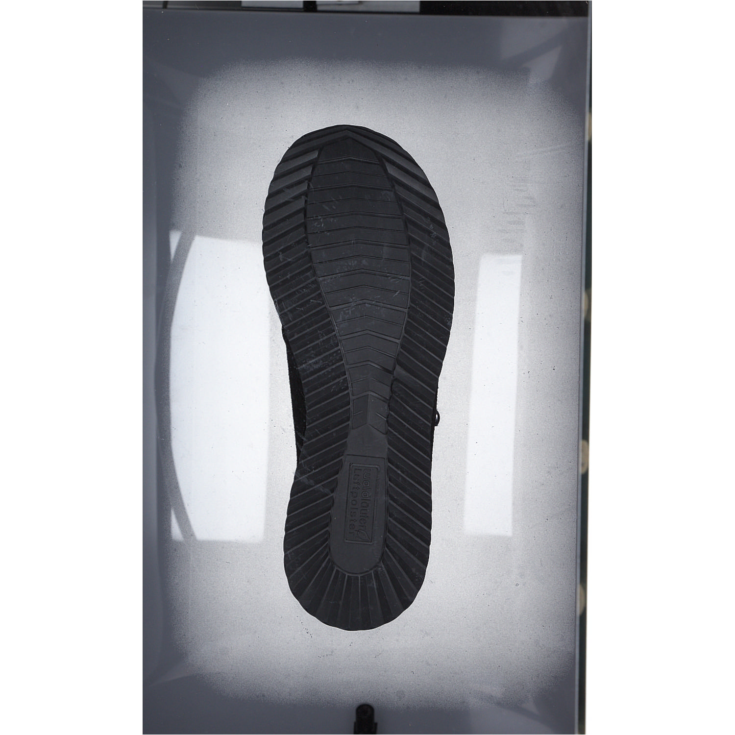 Waldläufer Vicky 752H02, Schnürschuhe, Damen, Schwarz