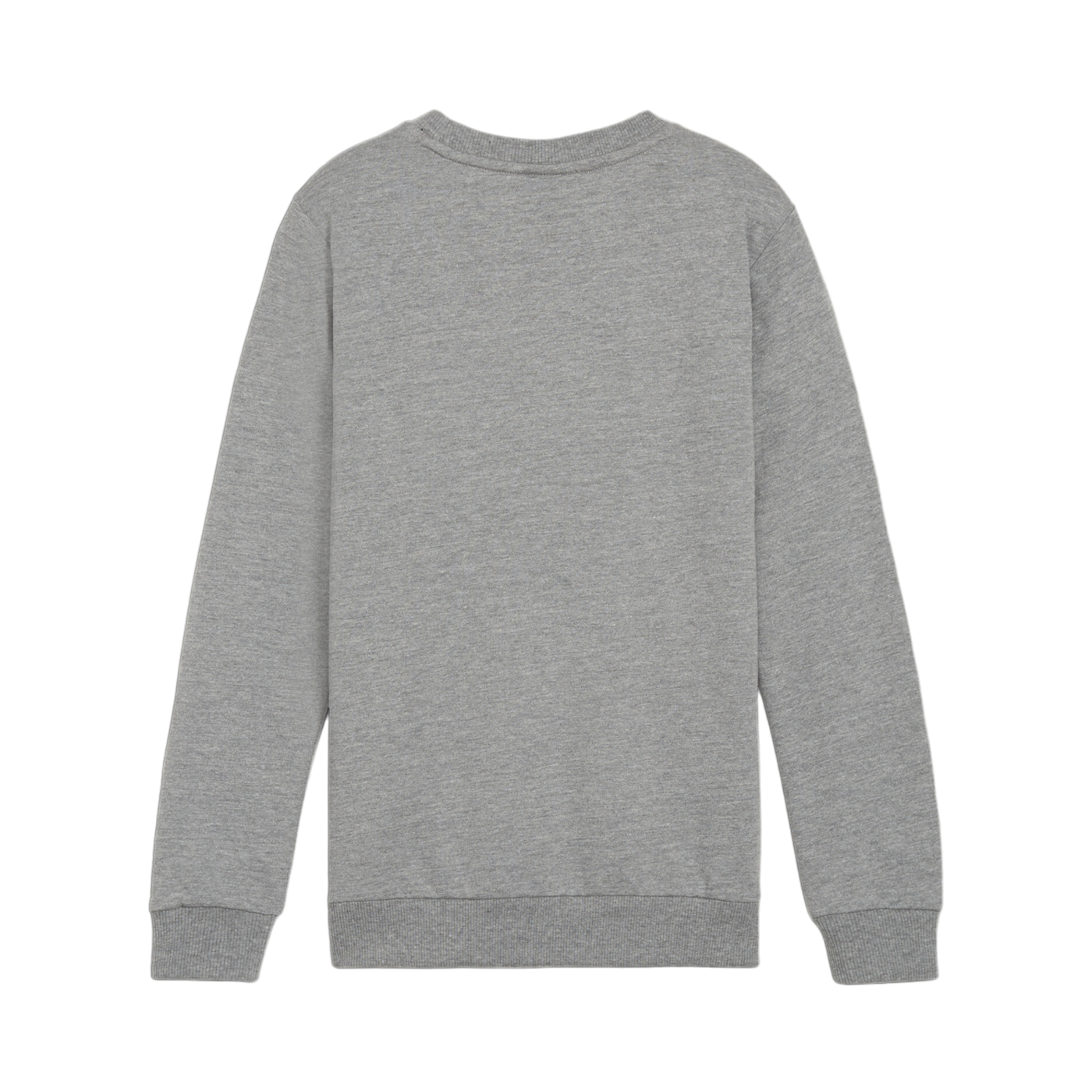 PUMA teamGOAL Casuals Sweatshirt Kids Grau F33