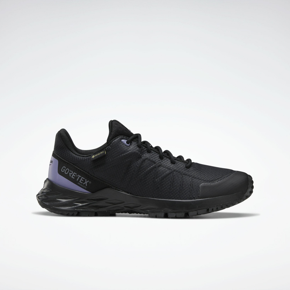 Reebok Astroride Trail gtx 2.0 EF4179 / schwarz