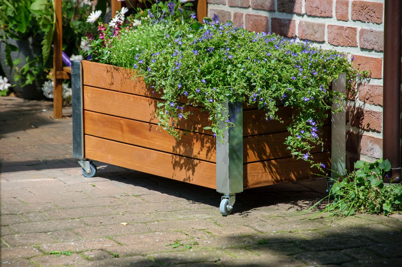 dobar Rollbares Hochbeet 