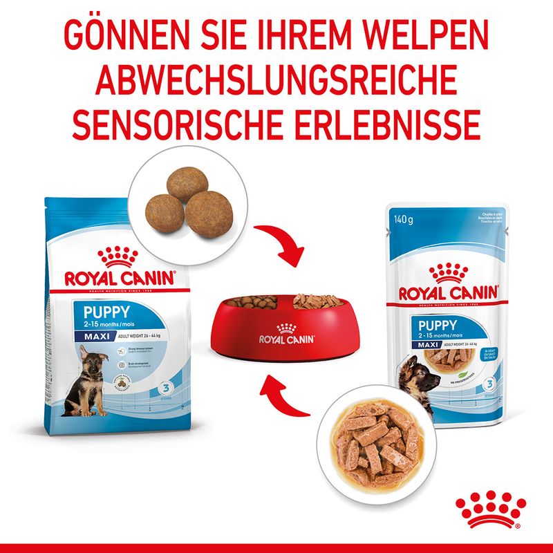 Royal Canin Maxi Puppy in Soße