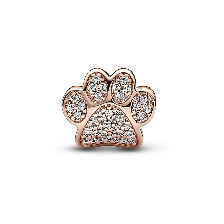 Pandora Charm Moments