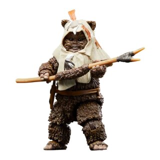 Star Wars Episode VI 40th Anniversary Black Series Actionfigur: Paploo