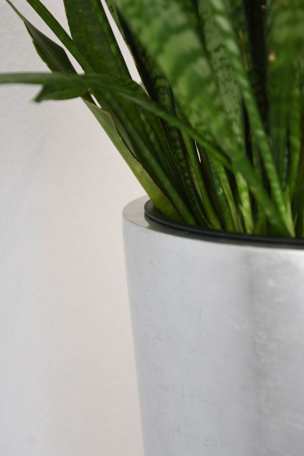 VIVANNO Pflanzkübel Pflanzkübel Blumenkübel Fiberglas 