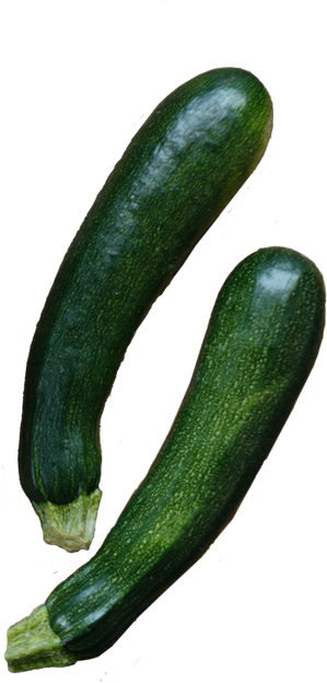 Zucchini