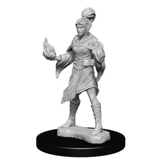 Elf Female Sorcerer: Pathfinder Deep Cuts Unpainted Minis