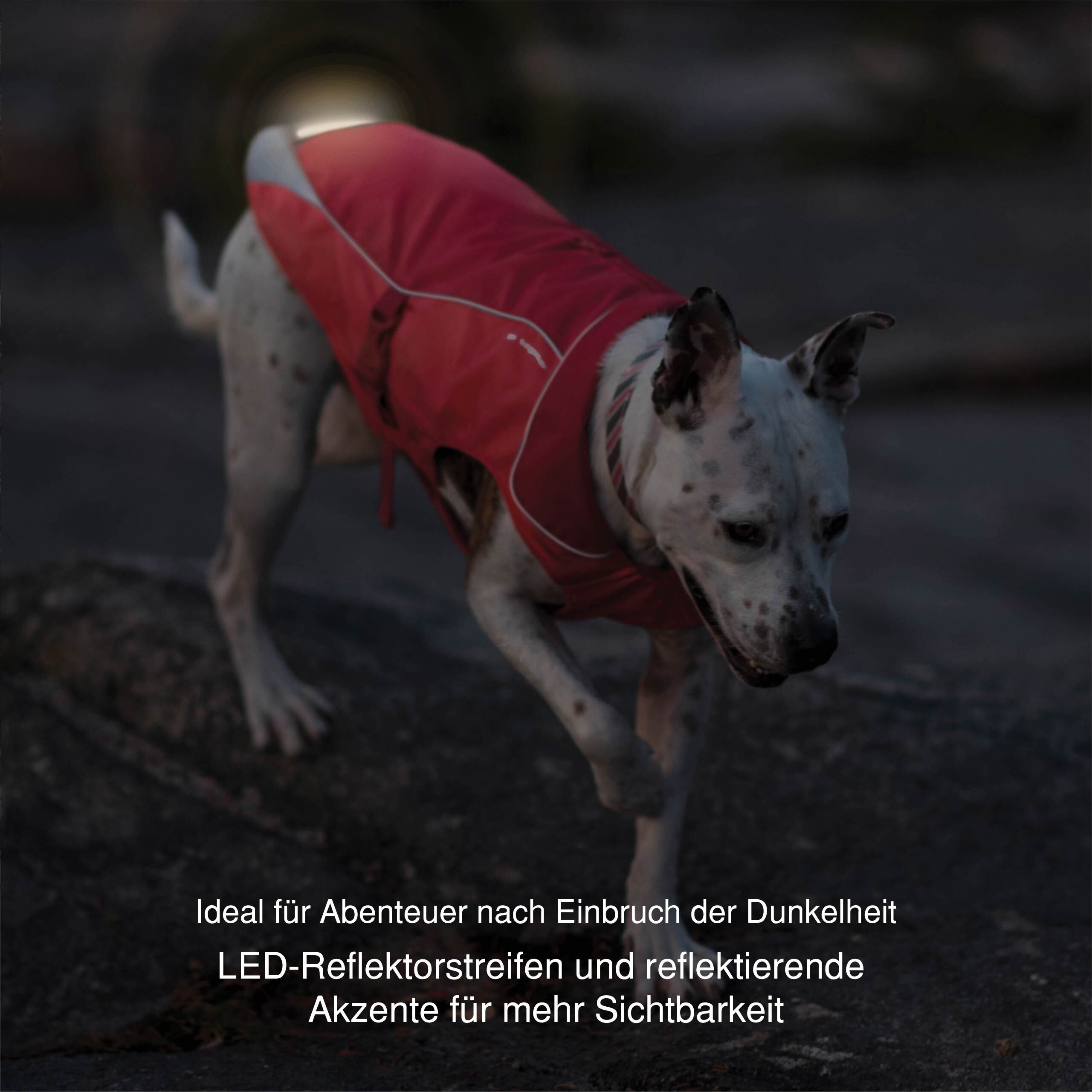 Kurgo Hundemäntel Kurgo North Country Hundemantel L