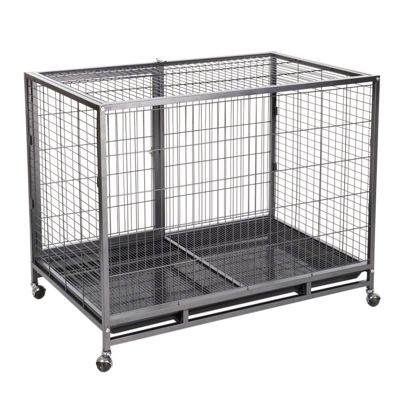 Zimmerkennel Tabby zu TOP-Preisen % | bitiba