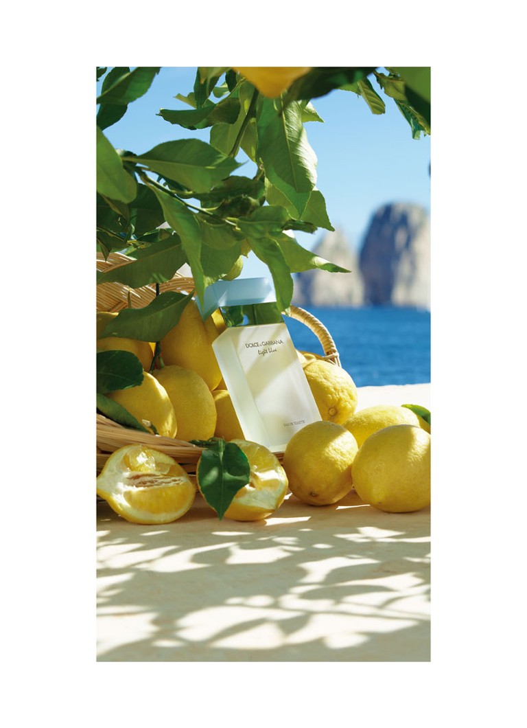 Apa de toaleta Dolce & Gabbana Albastru deschis