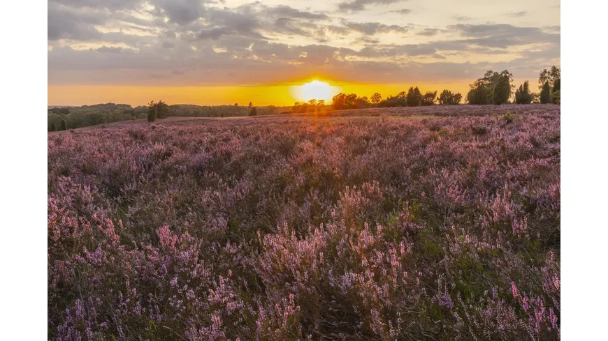 HEIMAT NATUR