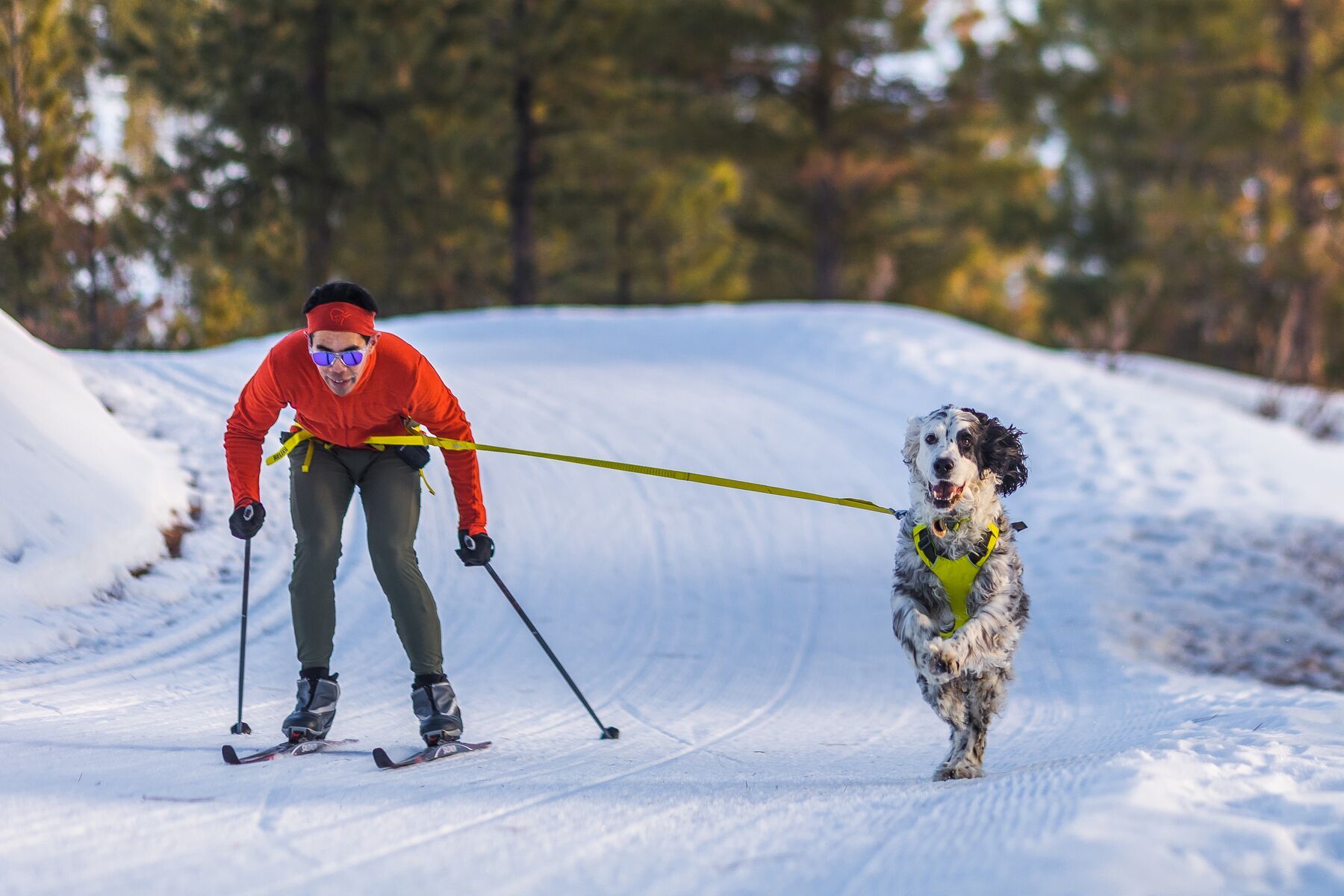 Ruffwear Hundegeschirre Ruffwear Hundejöringsystem Omnijore™ M