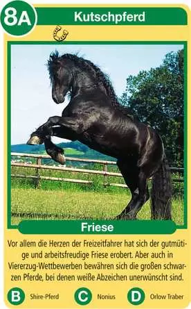Pferde - Kartenspiel ab 4 Jahren