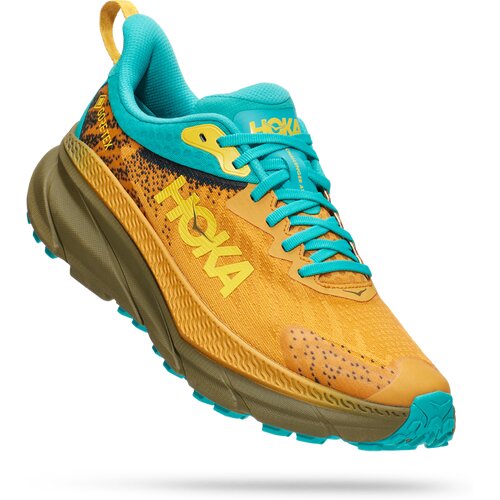 HERREN TRAILRUNNINGSCHUHE M CHALLENGER 7 GTX