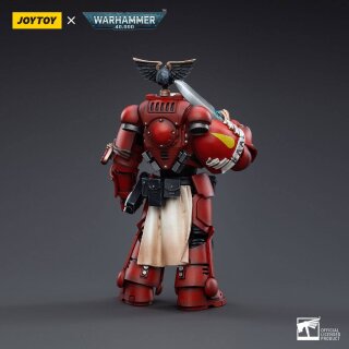 Warhammer 40k Actionfigur: Blood Angels Veteran Vigna