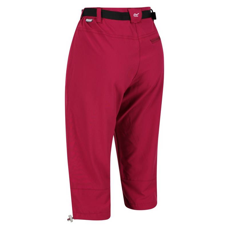 Regatta Xert Capri Wanderhose Damen