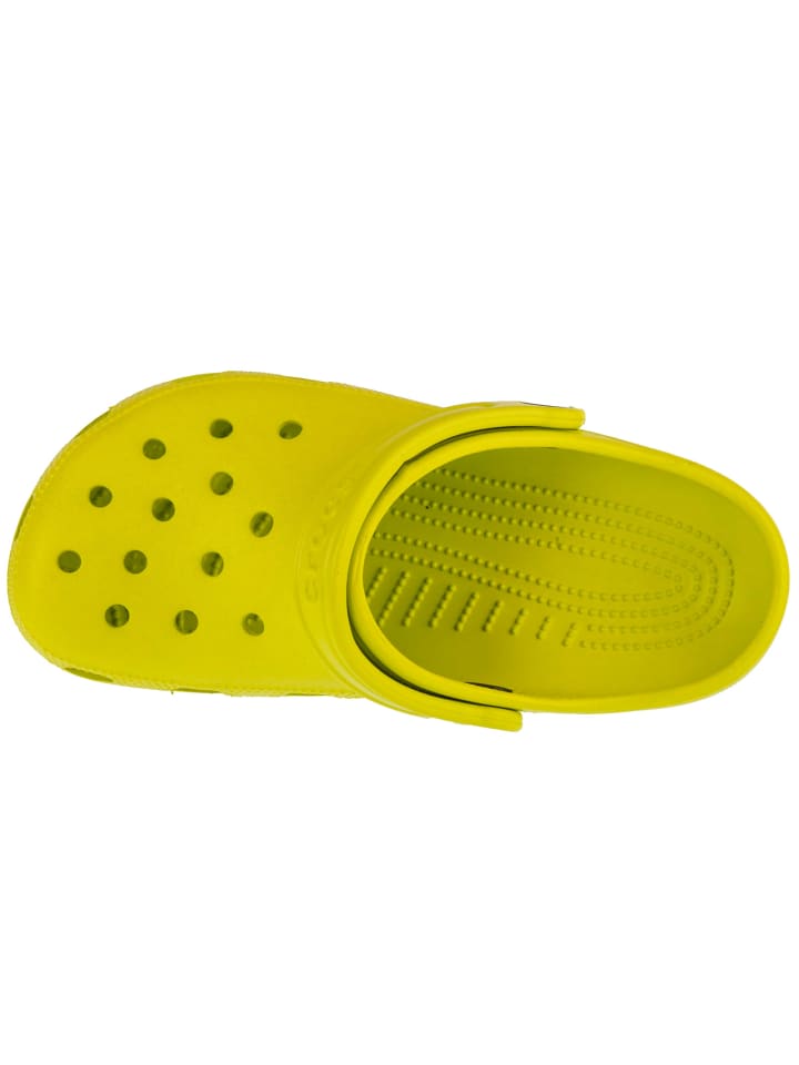 Crocs Crocs Classic Clog in Grün günstig kaufen
