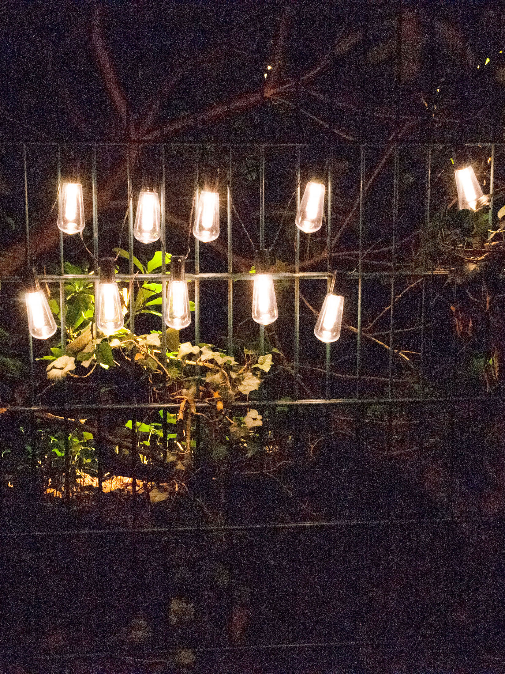 Tilbarg Solar-Lichterkette, Transparent