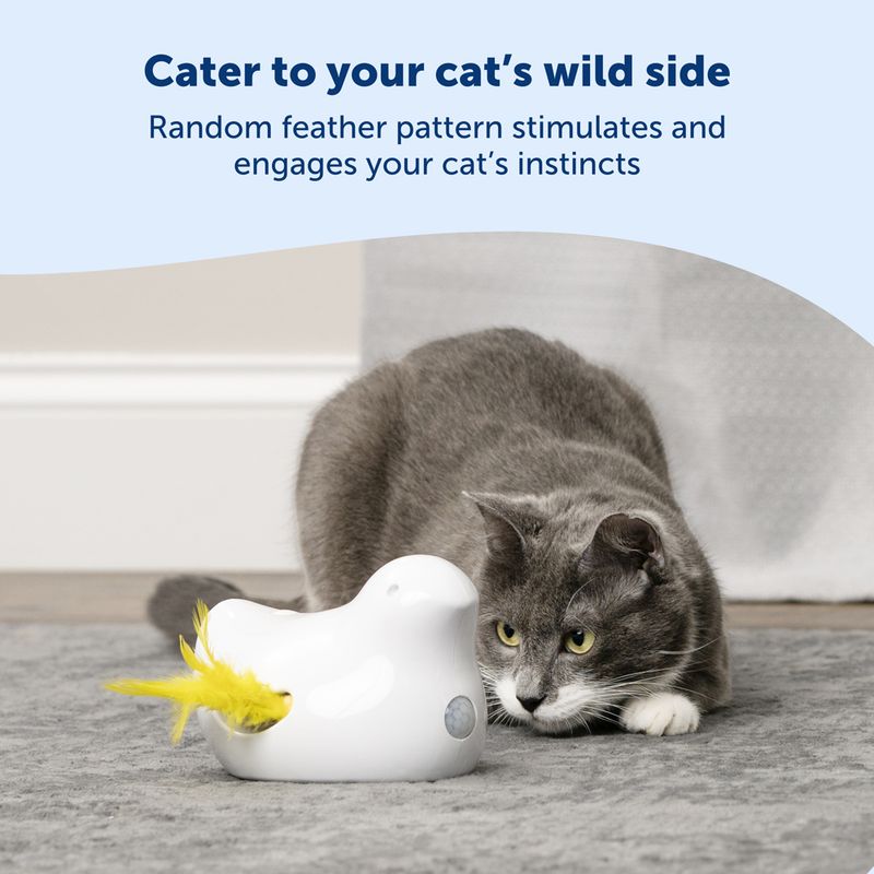 PetSafe Peek-a-Bird Elektronisches Katzenspielzeug