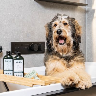 kooa Sensitive (Welpen) Shampoo