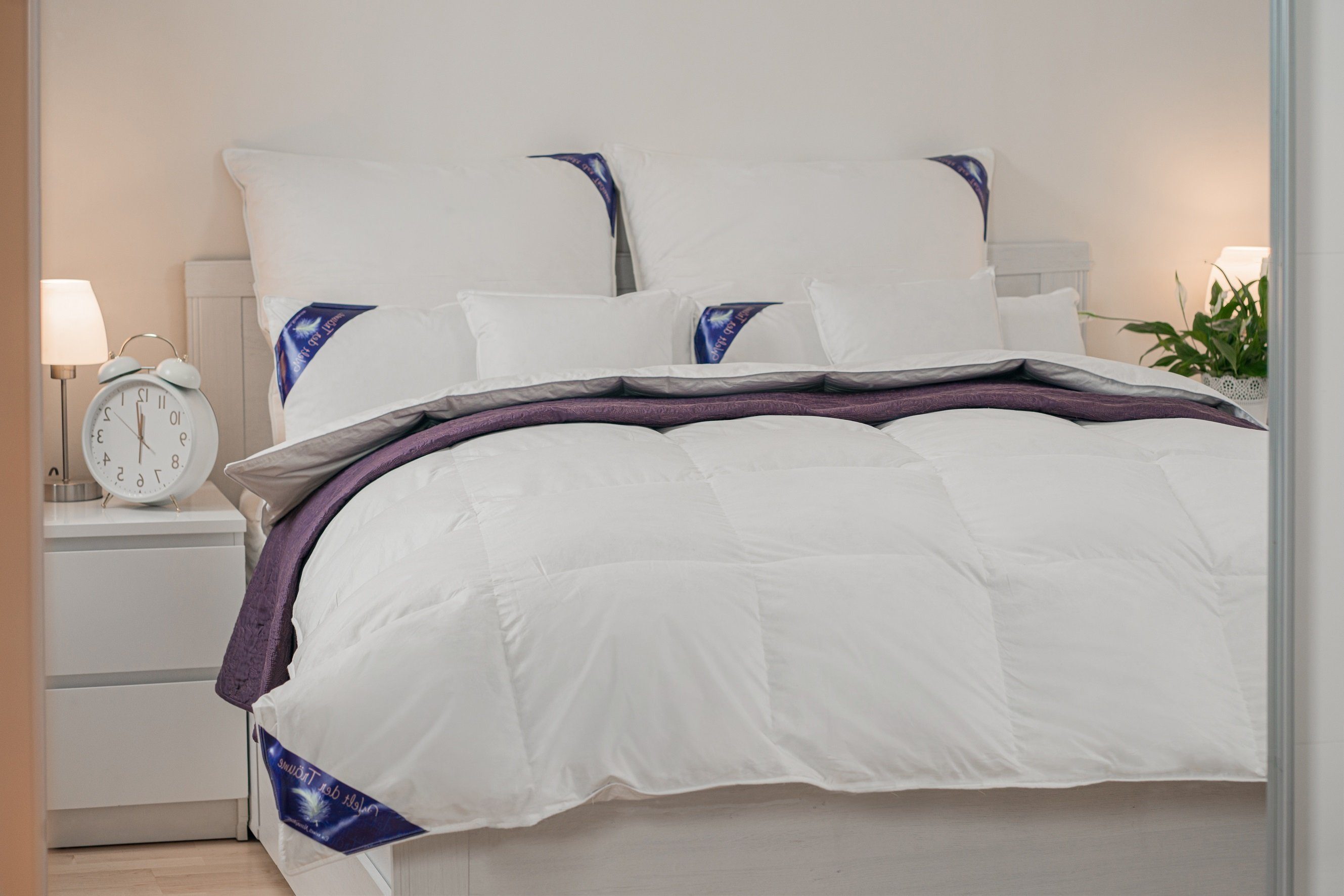 Daunenkissen Daunenkissen Kissen Federkissen Kopfkissen Kinderkissen Daunen Federn Bettwaren DownPillow FeatherPillow 80 x 80 700 Gr., Welt der Träume, Füllung: 60% Daunen/ 40% Federn, Designed in Germany - Made in Europe