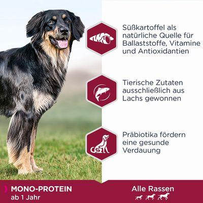 Eukanuba Adult Mono-Protein mit Lachs